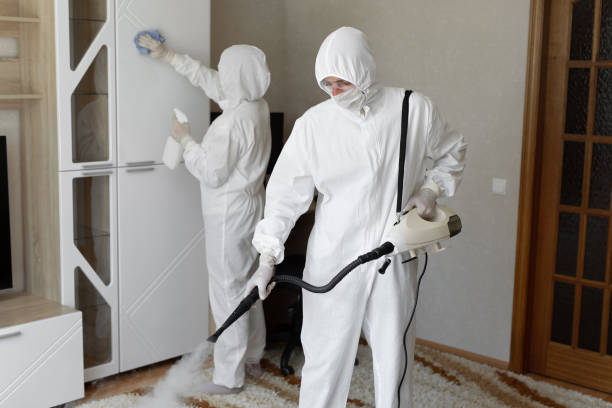 24/7 Emergency Odor Removal experts in Kingston, TN